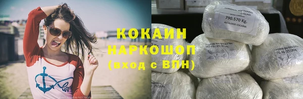 шишки Алексин