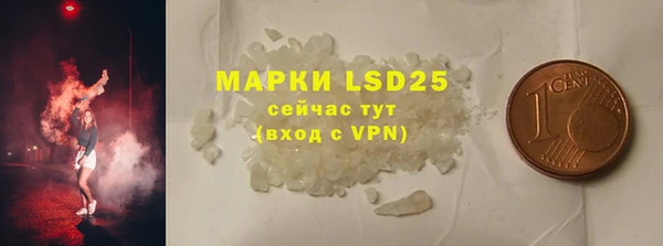 шишки Аркадак