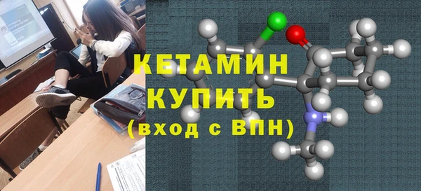 прущие грибы Елабуга