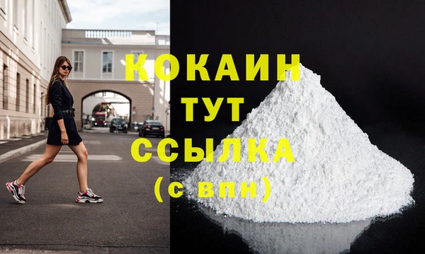 шишки Алексин