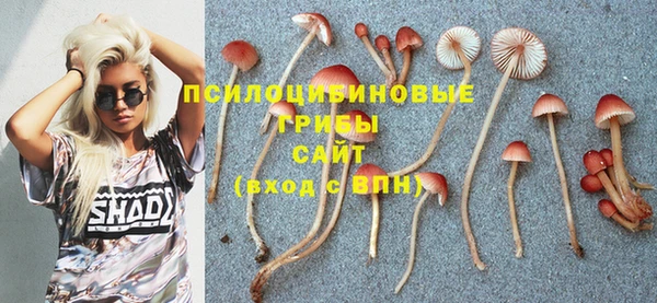 метадон Алексеевка