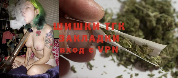 Альфа ПВП Ельня